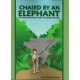 Chased by an Elephant